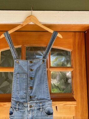 Life In Progress Women’s Overalls